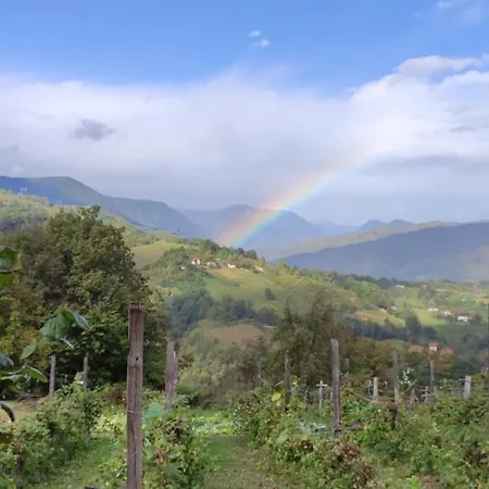 Brvnara Na Bregu Bajina Basta