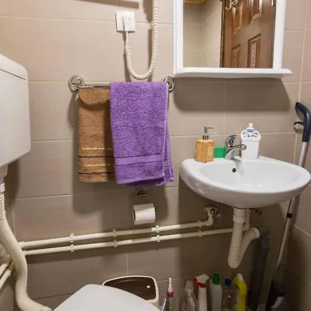 Brvnara Na Bregu * Bajina Basta