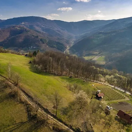 Brvnara Na Bregu Bajina Basta