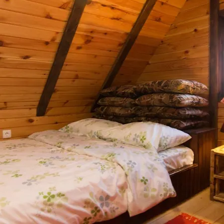 Brvnara Na Bregu * باغينا باستا