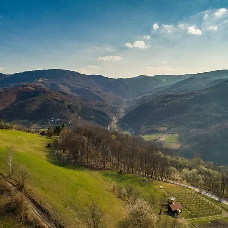 Brvnara Na Bregu Bajina Basta